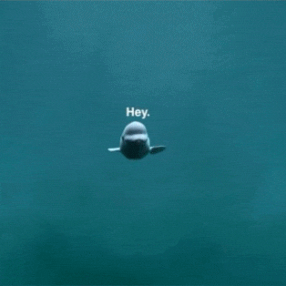 2b396eda028c003f14420aa8
