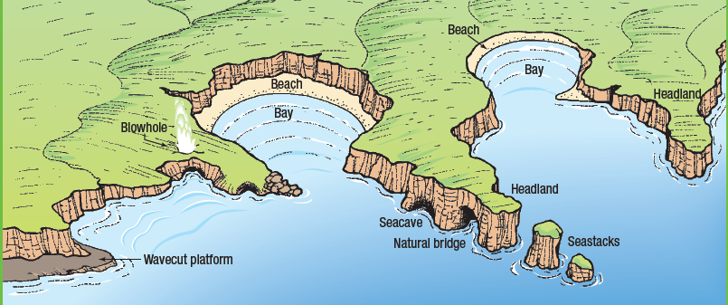 Image result for coastal landforms